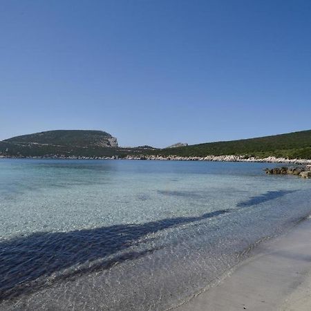 Pischina Salida-Villetta Pavoncelle Αλγκέρο Εξωτερικό φωτογραφία