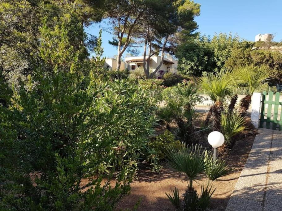 Pischina Salida-Villetta Pavoncelle Αλγκέρο Εξωτερικό φωτογραφία